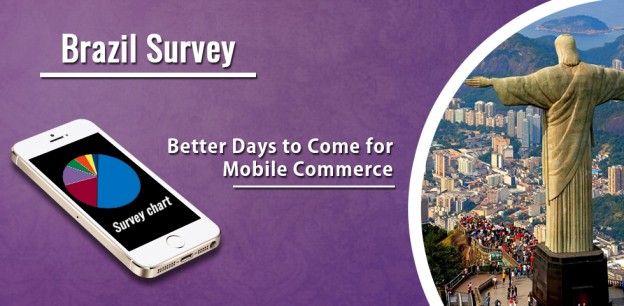 Brazil Survey: Better Days to Come for Mobile Commerce