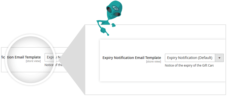 Gift Card Expity Email Notification