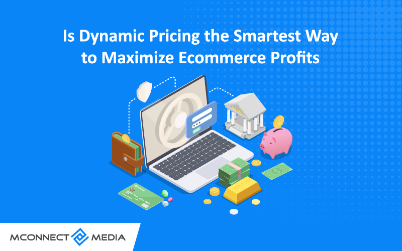 Is Dynamic Pricing the Smartest Way to Maximize Ecommerce Profits