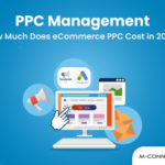 ecommerce ppc management cost
