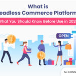 what is headless commerce platform